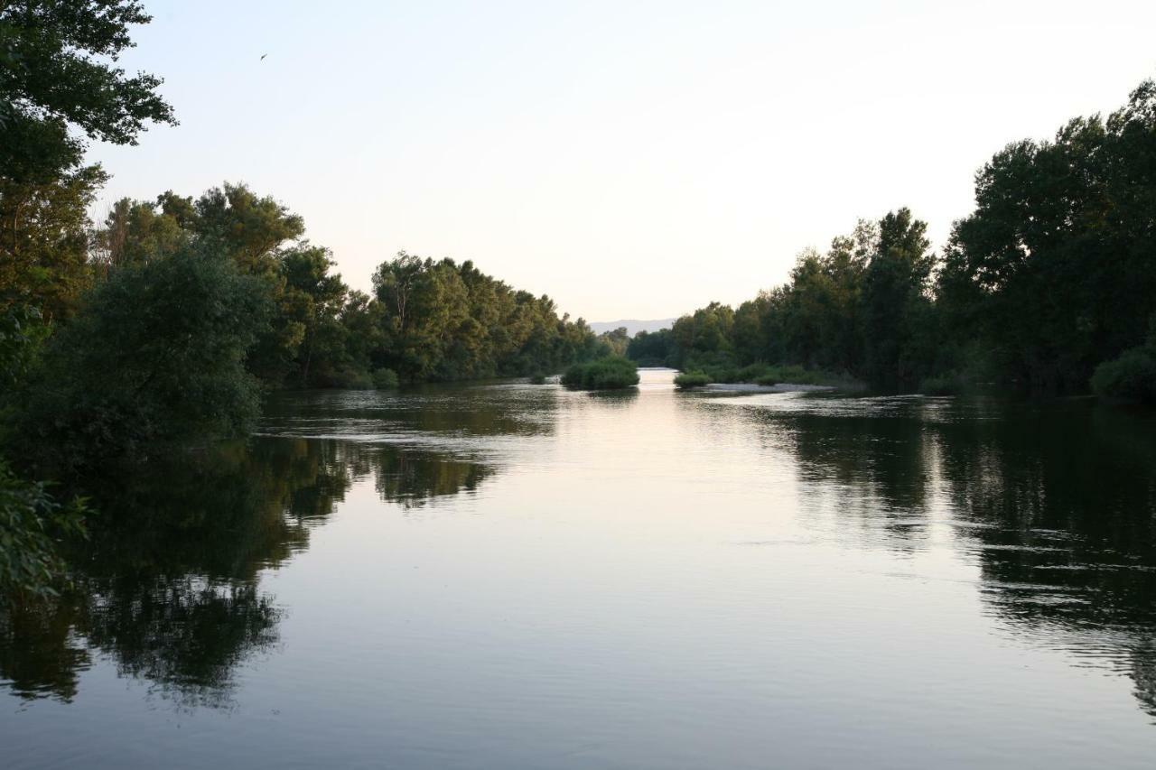 Gites Chateau De La Selve Grospierres Εξωτερικό φωτογραφία